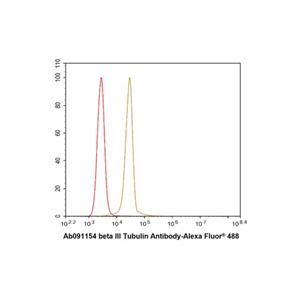 Recombinant beta III Tubulin Antibody,Recombinant beta III Tubulin Antibody