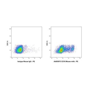 CD16 Mouse mAb,CD16 Mouse mAb