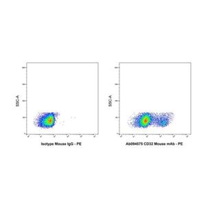 CD32 Mouse mAb,CD32 Mouse mAb