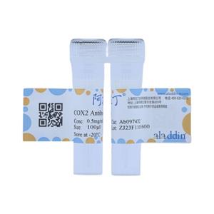 COX2 Antibody,COX2 Antibody