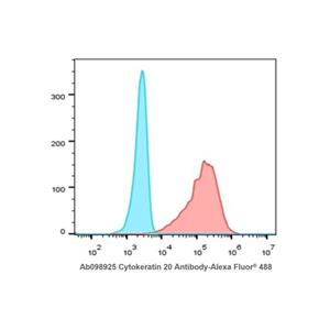 Recombinant Cytokeratin 20 Antibody,Recombinant Cytokeratin 20 Antibody