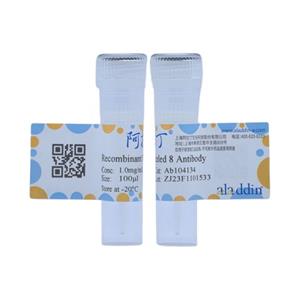 Recombinant Frizzled 8 Antibody,Recombinant Frizzled 8 Antibody