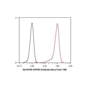 Recombinant GAPDH Antibody,Recombinant GAPDH Antibody