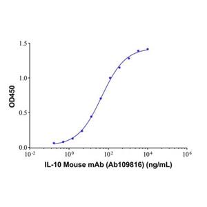 IL-10 Mouse mAb,IL-10 Mouse mAb