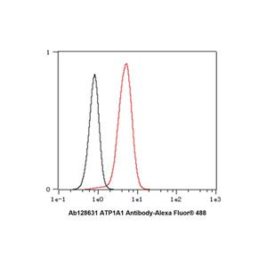 Recombinant ATP1A1 Antibody,Recombinant ATP1A1 Antibody