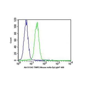 TIMP2 Mouse mAb,TIMP2 Mouse mAb