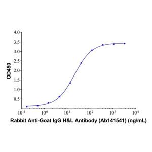 Rabbit Anti-Goat IgG H&L Antibody,Rabbit Anti-Goat IgG H&L Antibody