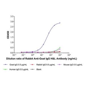 Rabbit Anti-Goat IgG H&L Antibody,Rabbit Anti-Goat IgG H&L Antibody