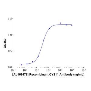 Recombinant CY211 Antibody,Recombinant CY211 Antibody