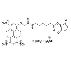 AF 405 琥珀酰亚胺酯,AF 405 Succinimidyl Ester