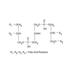aladdin 阿拉丁 C485580 心磷脂 溶液 来源于牛心脏 4.7-5.3 mg/mL in ethanol, ≥97% (TLC)