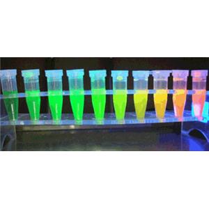 氨基酸键合荧光量子点,Fluorescent quantum dots