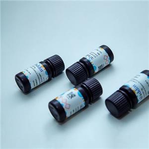 aladdin 阿拉丁 G293403 绿色荧光标记甲基丙烯酰化明胶 双键改性度GM-90:90±5%