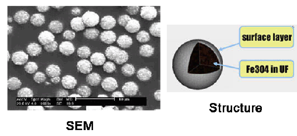 脲醛树脂磁性微球,Monodispersed Magnetic Urea-Formaldehyde Microspheres