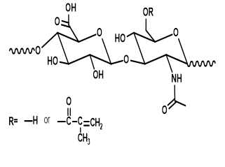 甲基丙烯酰化透明质酸,Methacrylated Hyaluronic acid