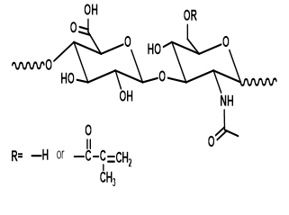 甲基丙烯酰化透明质酸,Methacrylated Hyaluronic acid(HAMA)
