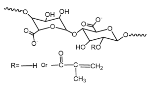 甲基丙烯酰化海藻酸钠（AlgMA）,Methacrylated Alginate