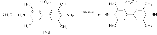 单组分TMB显色液,3,3′,5,5′-Tetramethylbenzidine (TMB) Liquid Substrate System for ELISA