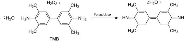 TMB顯色液 A液（3,3′,5,5′-四甲基聯(lián)苯胺溶液）,TMB color reagent A solution (3,3',5,5'-tetramethylbenzidine)