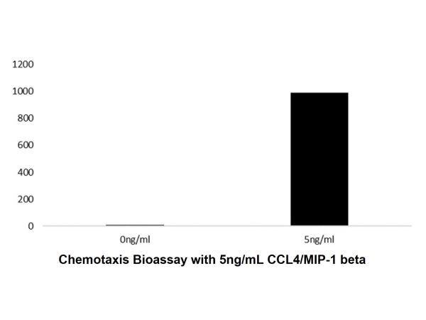 Recombinant Human CCL4/MIP-1 beta Protein,Recombinant Human CCL4/MIP-1 beta Protein