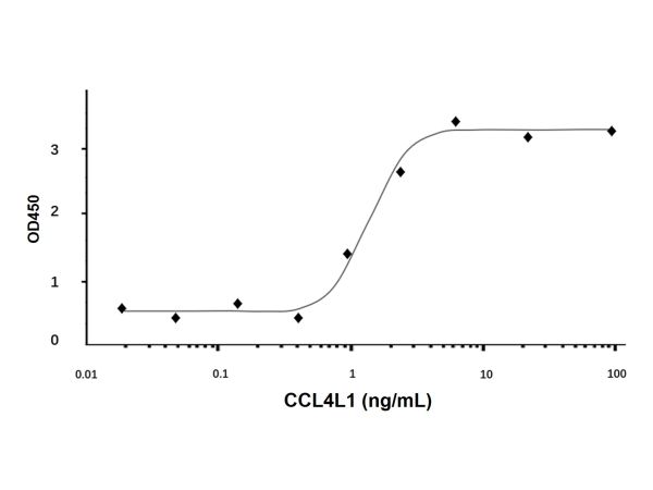 Recombinant Human CCL4L1 Protein,Recombinant Human CCL4L1 Protein