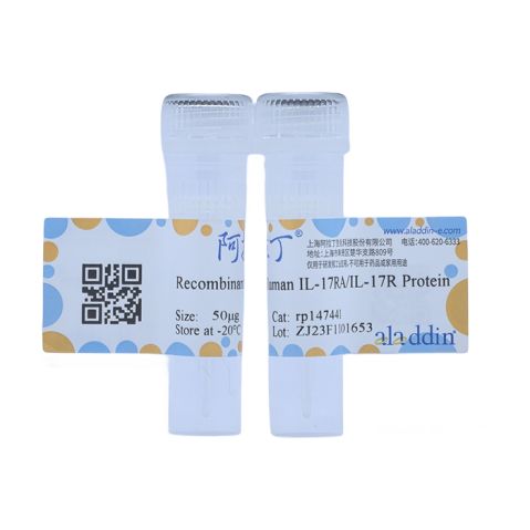 Recombinant Human IL-17RA/IL-17R Protein,Recombinant Human IL-17RA/IL-17R Protein