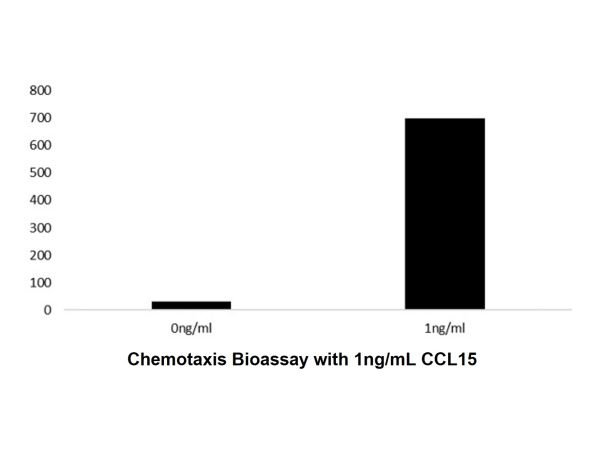 Recombinant Human CCL15 Protein,Recombinant Human CCL15 Protein