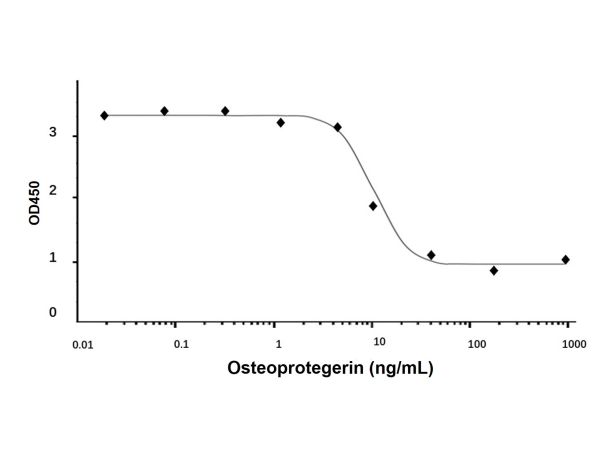 Recombinant Human Osteoprotegerin Protein,Recombinant Human Osteoprotegerin Protein