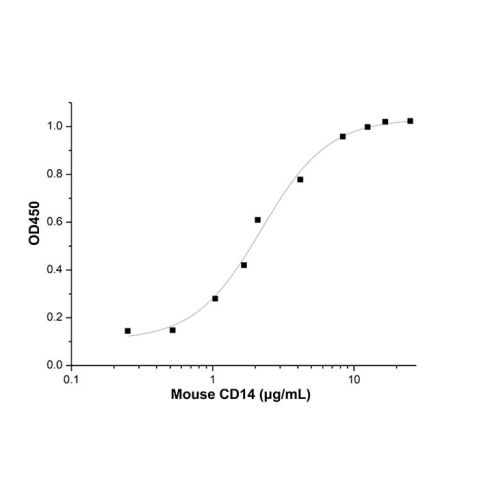 Recombinant Mouse CD14 Protein,Recombinant Mouse CD14 Protein