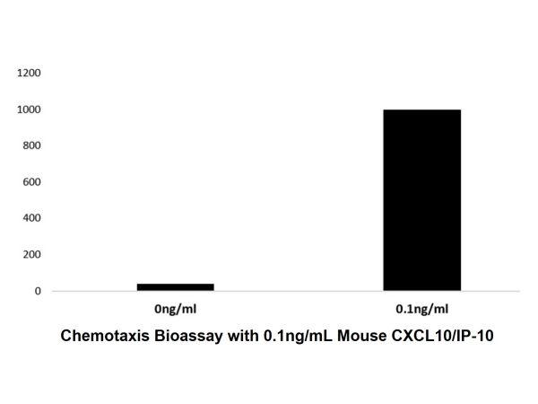 Recombinant Mouse CXCL10/IP-10 Protein,Recombinant Mouse CXCL10/IP-10 Protein