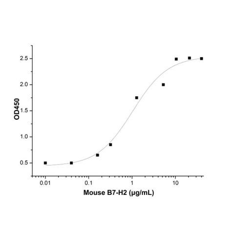 Recombinant Mouse B7-H2 Protein,Recombinant Mouse B7-H2 Protein