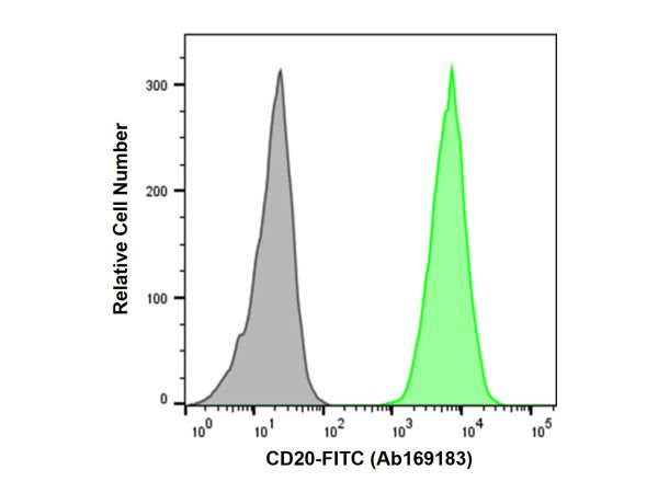 Recombinant CD20 Antibody (FITC),Recombinant CD20 Antibody (FITC)