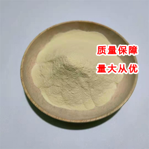 谷胺酰胺转氨酶,Transglutaminase