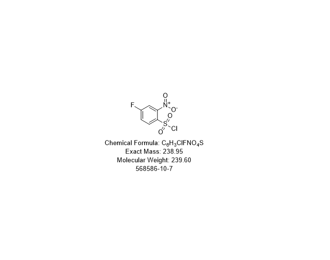 Benzenesulfonyl chloride, 4-fluoro-2-nitro- (9CI),Benzenesulfonyl chloride, 4-fluoro-2-nitro- (9CI)