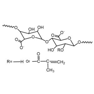 aladdin 阿拉丁 M301775 甲基丙烯酰化海藻酸钠（AlgMA） MA化程度20%-30%，分子量约50KDa