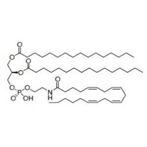N-花生四烯酸磷脂酰乙醇胺,N-Arachidonoyl phosphatidylethanolamine