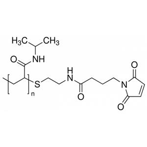 马来酰亚胺封端的聚(N-异丙基丙烯酰胺),Poly(N-isopropylacrylamide), maleimide terminated