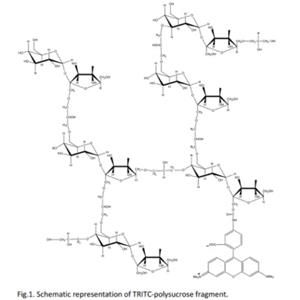 TRITC-聚蔗糖,TRITC-polysucrose