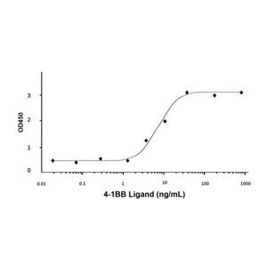 aladdin 阿拉丁 rp142386 Recombinant Human 4-1BB Ligand Protein Animal Free, >95%(SDS-PAGE, HPLC), Active, E.coli, No tag, 71-254 aa