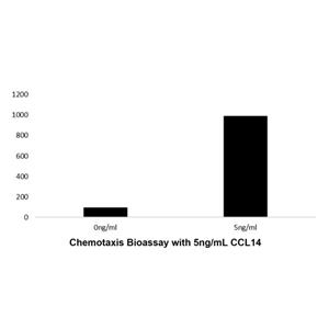 aladdin 阿拉丁 rp143727 Recombinant Human CCL14 Protein Animal Free, >96%(SDS-PAGE and HPLC), Active, E.coli, No tag, 22-93 aa