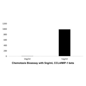 aladdin 阿拉丁 rp143746 Recombinant Human CCL4/MIP-1 beta Protein Animal Free, >96%(SDS-PAGE, HPLC), Active, E.coli, No tag, 24-92 aa