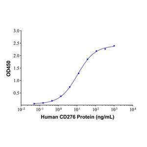 Recombinant Human CD276 Protein,Recombinant Human CD276 Protein