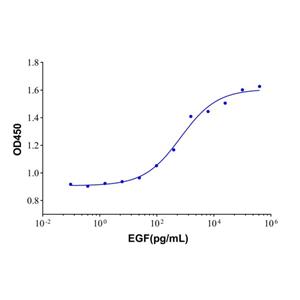 Recombinant Human EGF Protein,Recombinant Human EGF Protein