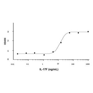 aladdin 阿拉丁 rp147435 Recombinant Human IL-17F Protein Animal Free, >95%(SDS-PAGE, HPLC), Active, E.coli, No tag, 31-163 aa