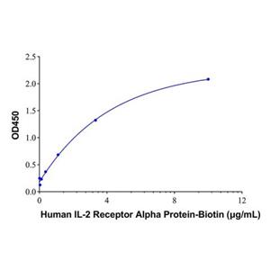 Recombinant Human IL-2 Receptor Alpha Protein,Recombinant Human IL-2 Receptor Alpha Protein