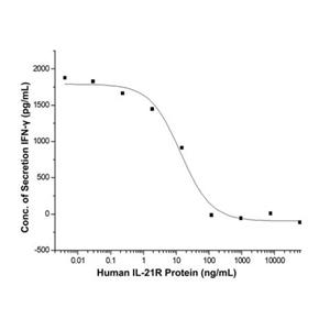 Recombinant Human IL-21R Protein,Recombinant Human IL-21R Protein