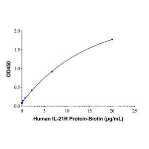 Recombinant Human IL-21R Protein,Recombinant Human IL-21R Protein