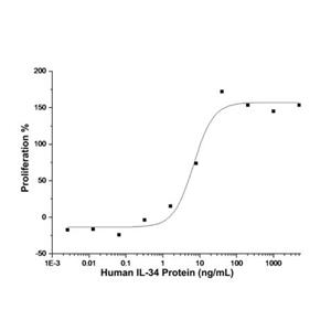 aladdin 阿拉丁 rp147566 Recombinant Human IL-34 Protein Animal Free, ≥95% (SDS-PAGE), Active, CHO, C-His tag, 21-242 aa