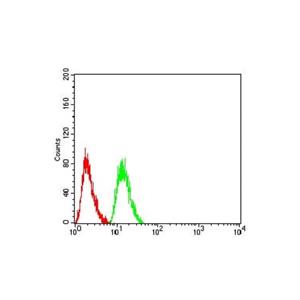 AKT1 Mouse mAb,AKT1 Mouse mAb