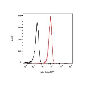 beta Actin Mouse mAb,beta Actin Mouse mAb